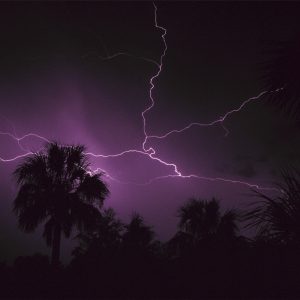lightning storm with palm trees