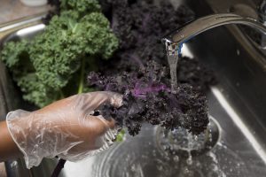 washing kale in the sink