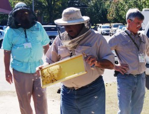 Attendees learn about bee hive maintenance.