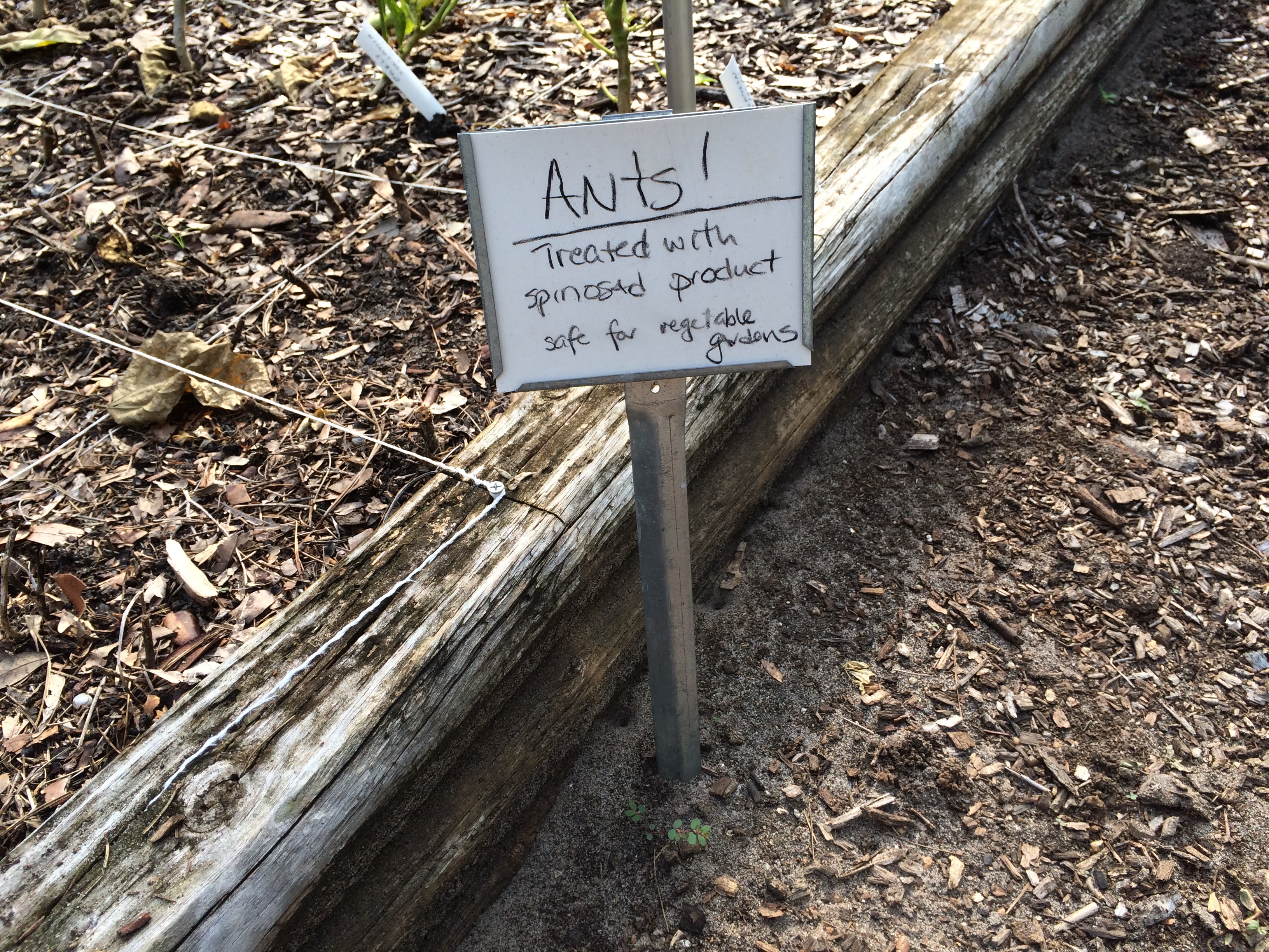 Diatomaceous Earth Gardening In The Panhandle