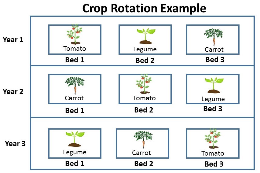 crop rotation garden planner