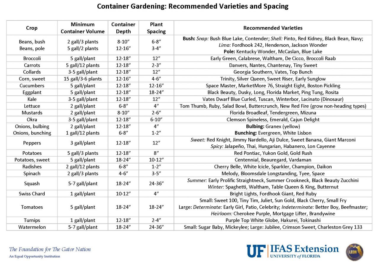 Container Size Matters When Growing Veggies Gardening In The Panhandle