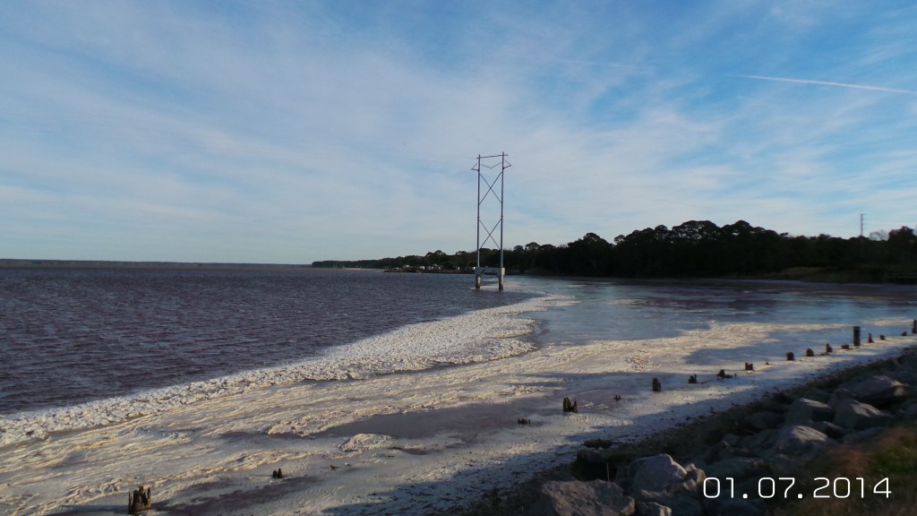 Recent ice coverage in Apalachicola Bay is visible example of the harsh environmental conditions that have led to reported fish kills throughout Florida including the Panhandle. Photo by L. Scott Jackson