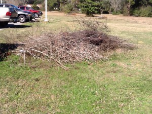 Brush piles such as these attract snakes.  These should be kept away from where family members play.  They can actually be used to move snakes away from areas where you do not want them.  Photo: Rick O'Connor