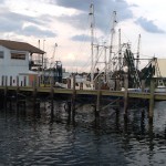 The Status of Commercial Fishing and Aquaculture in the U.S. and Florida