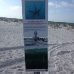 April Shows DO Bring May Flowers – Discovering the Panhandle – Barrier Islands