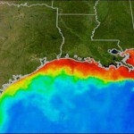 Looks like a Typical Year for the Gulf of Mexico Dead Zone Looks like a Typical Year for the Gulf of Mexico Dead Zone