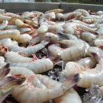 National Seafood Month – the state of seafood