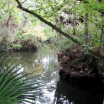 Panhandle Outdoors LIVE! Hikes the Aucilla Sinks Trail Panhandle Outdoors LIVE! Hikes the Aucilla Sinks Trail