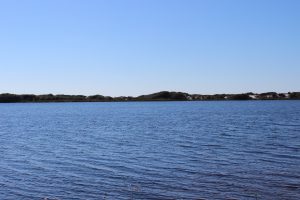 This dune lake at Topsail State Park is one of many "stretched" across South Walton County. 