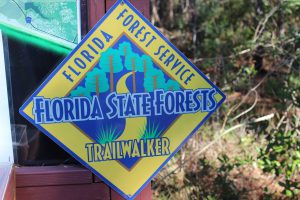 The Florida State Trailwalkers Program is a neat way to encourage locals to visit their "natural landscape". You must hike 10 of the selected trails (on their website provided in this article). There is a log you can download and when you have logged your 10 hikes mail it in. You will receive a free patch indicating you are a "Florida Trailwalker"! This is a great way to explore your "natural Florida". 