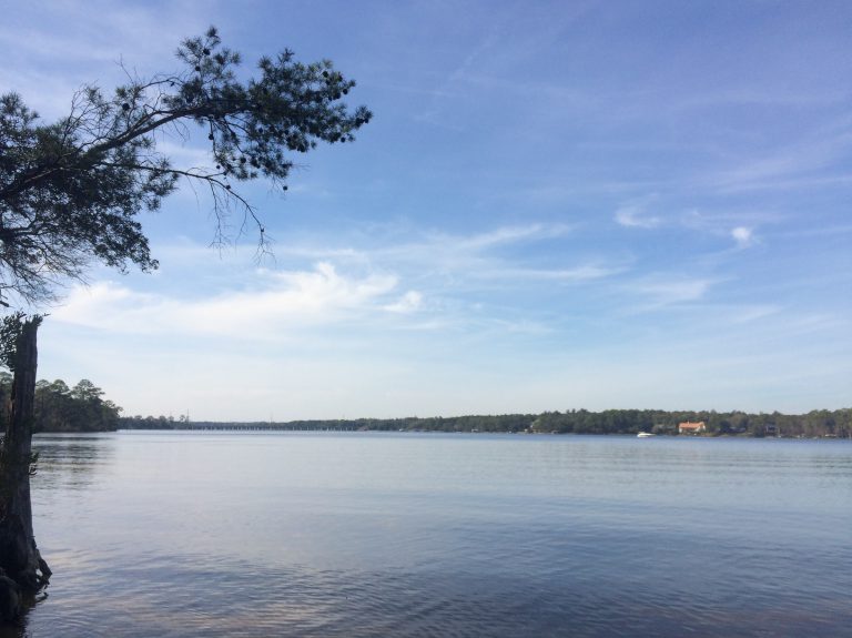 Celebrating Choctawhatchee Bay National Estuaries Week Panhandle