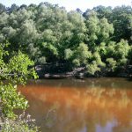 The Once Mightier Ochlockonee, Dismembered by Sea Level Rise The Once Mightier Ochlockonee, Dismembered by Sea Level Rise