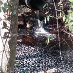 Slow the flow: Why should we care about stormwater runoff?