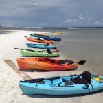 Ecotourism in Northwest Florida Ecotourism in Northwest Florida