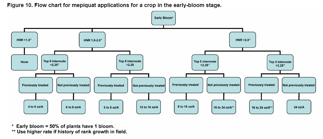 Cotton Growth Stage Chart