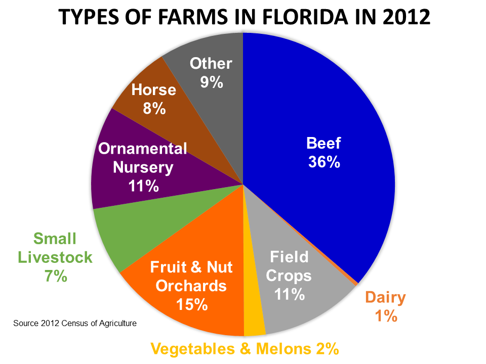 Florida Depth Chart 2012