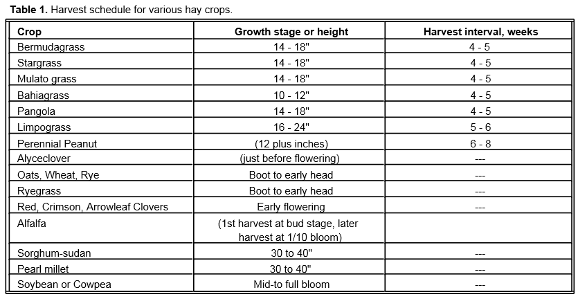 Hay Nutrition Chart