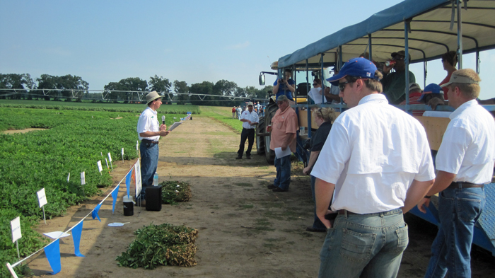 Dr. Barry Tillman, NFREC Peanut Breeder, shared the  results of his work with the newer peanut variates.  Photo credit Doug Mayo