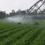 Florida’s Valuable Water Resources and the Importance of Irrigation Efficiency Florida’s Valuable Water Resources and the Importance of Irrigation Efficiency