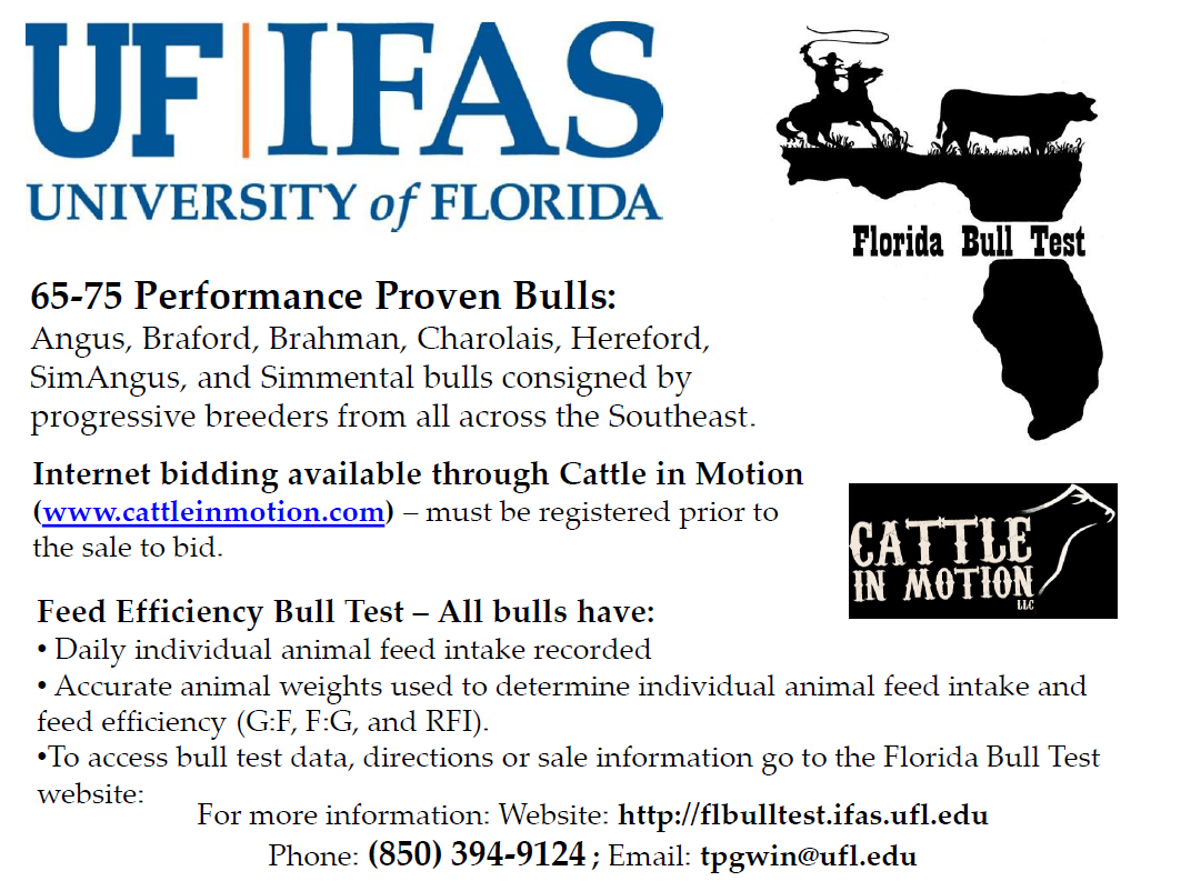 15 FL Bull Test Sale Information