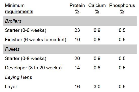 Chicken Feed Consumption Chart