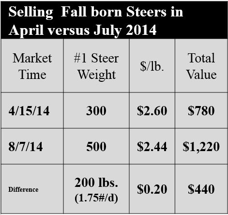 Based on USDA AL Weekly Market Report MG LS145