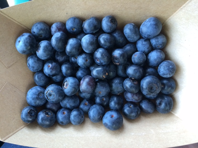 Blue Sky Farm blueberries MCJ