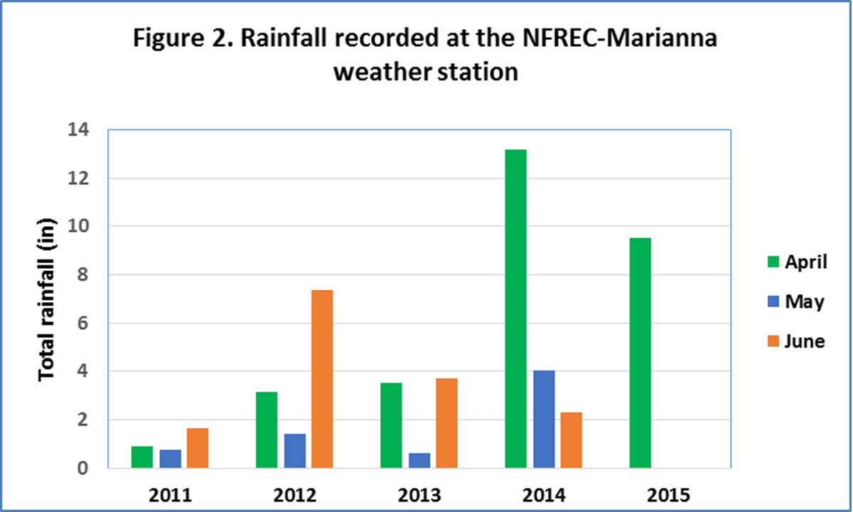 Figure 2.  Rainfall patterns in the last four years using data from the NFREC-Marianna weather station.