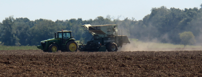Peanuts are being picked once again, after sunshine returned on Wednesday.