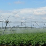 2016 NASS Farm Land Rent and Labor Survey Summary 2016 NASS Farm Land Rent and Labor Survey Summary