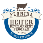 UF/IFAS offers Heifer Development Program for Cattle Producers UF/IFAS offers Heifer Development Program for Cattle Producers
