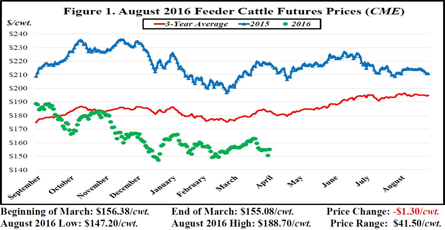 stock market prices for cattle