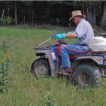 The Cheapest Method to Control Pasture Weeds The Cheapest Method to Control Pasture Weeds