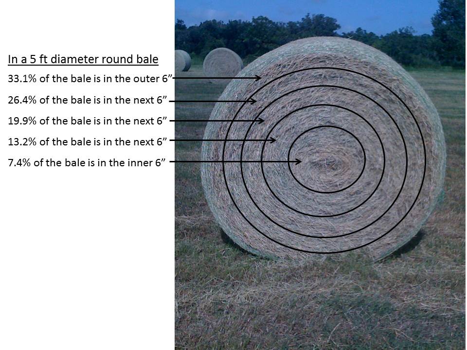 Figure 1. Proportion of bale contained within 5 six-inch section of a Coastal bermudagrass large round bale. (Alachua, FL Photo credit Matt Hersom).