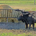 Improving the Efficiency of Your Hay Production Improving the Efficiency of Your Hay Production