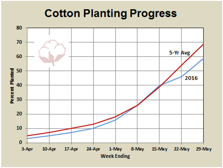Shurley planting progress 6-3-16