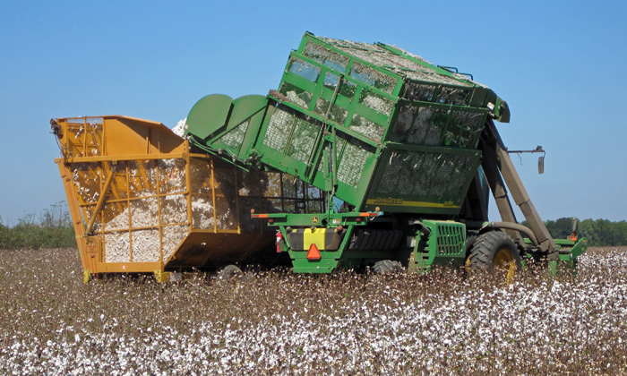 cotton-harvest-equipment