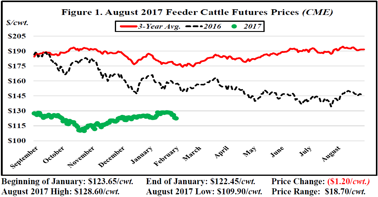 Feeder Cattle Futures Price Chart