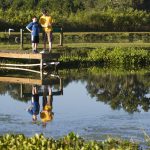 Tips for Successful Pond Weed Management Tips for Successful Pond Weed Management