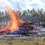 Certified Pile Burner Course – August 30 & September 13 Certified Pile Burner Course – August 30 & September 13