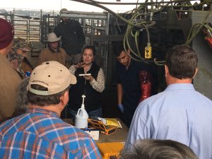 Group of cattle producers learning about CIDR for AI with lady talking.