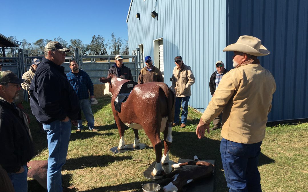 Holmes County Spring Cattlemen’s Field Day and Social – March 30
