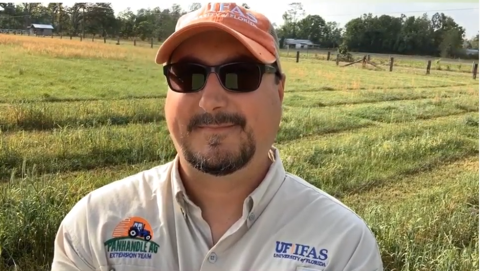 Gulf County Cool-Season Forage Virtual Field Day
