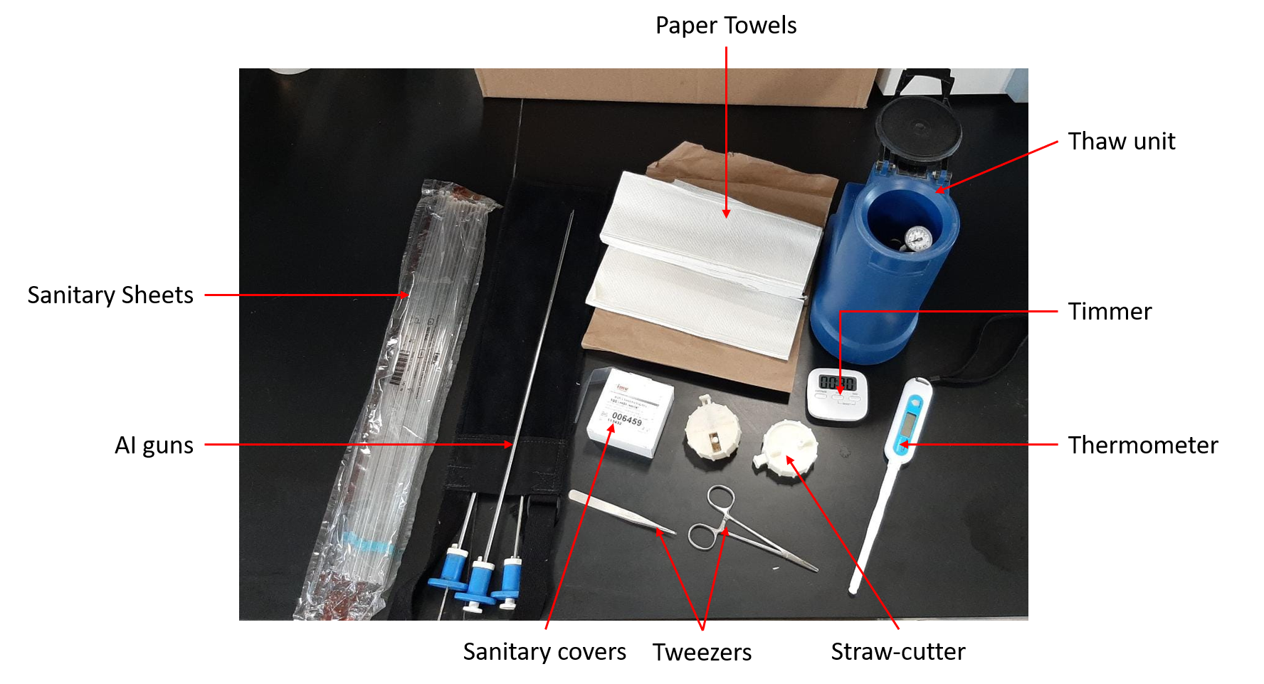 Tips For Successful Artificial Insemination Of Cattle Panhandle 