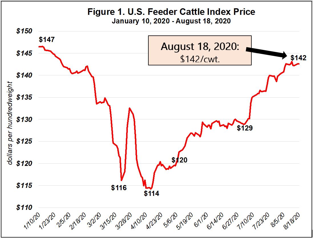 The 2020 U.S. Beef Cattle Market and Current Economic Conditions