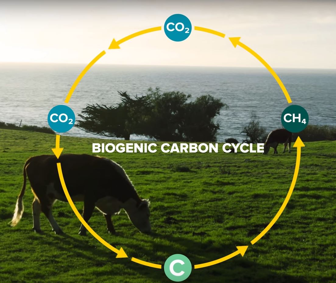 Friday Feature: Rethinking Methane From Cattle | Panhandle Agriculture