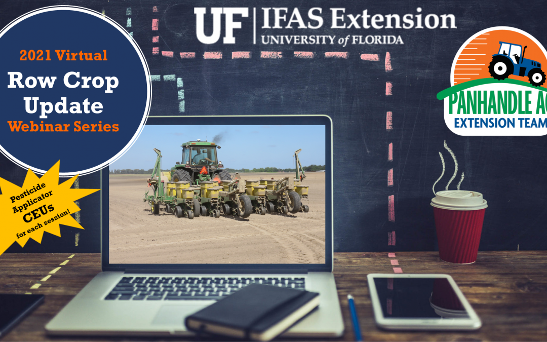 Register for the 2021 Panhandle Row Crops Update Series – CEUs Available for Participants