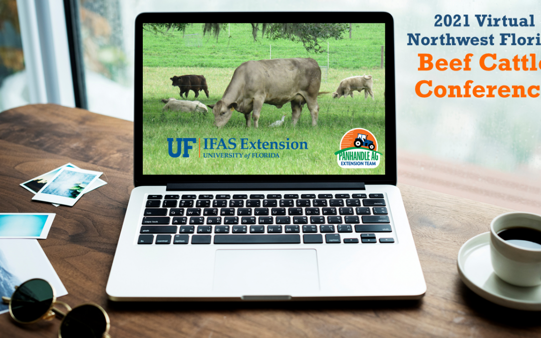 2021 Virtual Northwest Florida Beef Cattle Conference Webinar – February 10