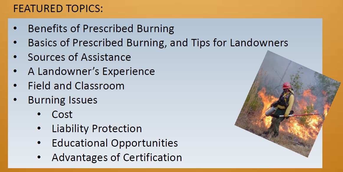 Prescribed Fire 2